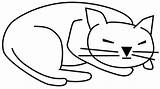 Katze Schlafende Malvorlage Ausmalbild Schlafend sketch template