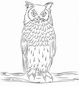 Uhu Eagle Owls Sowa Ausmalbild Puchacz Ausmalbilder Malvorlage Horned Kolorowanka Sumptuous Bengalese Kolorowanki Indyjski Ausdrucken Eulen Malvorlagen Vogel Kinderbilder Eule sketch template