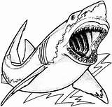 Shark Coloring Pages Kids Jaws Print Drawing sketch template