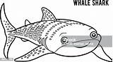 Shark Whale Coloring Book Vector sketch template