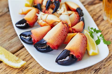 buy cooked crab claws kg     price  uk delivery bradleys fish