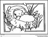 Moses Coloring Bulrushes Miriam sketch template