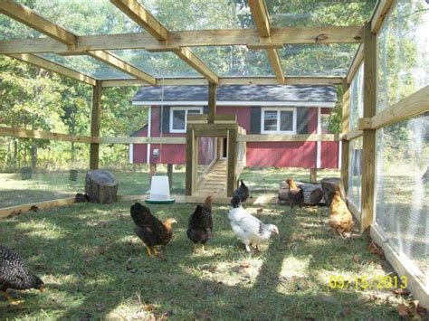 pin  chicken coops