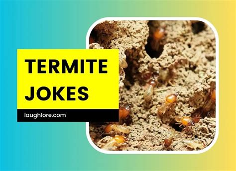101 termite jokes laugh lore