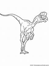 Oviraptor Coloring Pages Dinosaurs Light Lightupyourbrain sketch template