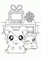 Coloring Pages Hamtaro Room Living Kids Cute Colouring Penelope Pashmina Drawing Color Choose Board Picgifs sketch template