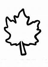 Leaf Fall Outline Leaves Clipart Maple Template Clip Autumn Coloring Leave Outlines Small Kids Cliparts Crafts Templates Pages Kiboomu Library sketch template