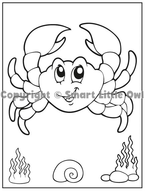sea creatures colouring book  kids ages