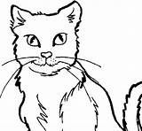Cat Coloring Coloringcrew sketch template
