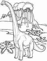 Dinozaury Kolorowanki Druku Kolorowanka Dinosaur Coloring Brachiosaurus Malowanka Mewarnai sketch template