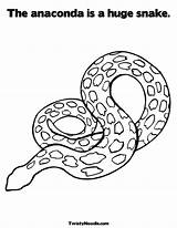 Anaconda Schlange Ausmalbilder Ausmalbild Tracing Letzte Lizard sketch template
