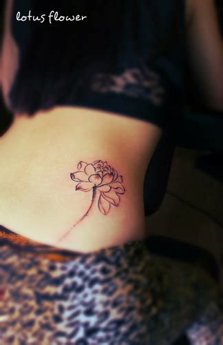 Free Tattoo Designs Lotus Flower Tattoo For Girls