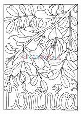 Colouring Flower Dominica National Pages Kids Village Activity Explore sketch template