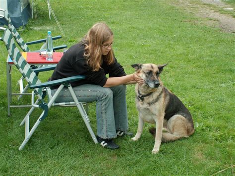 girl petting  dog  photo  freeimages