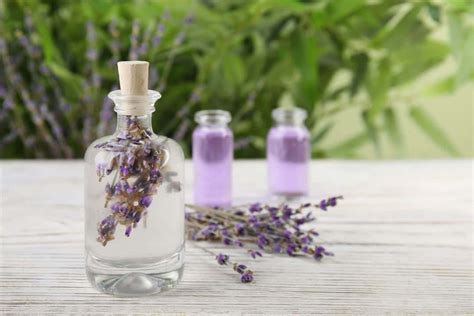 benefits  lavender oil  hair     diy hair oil recipe