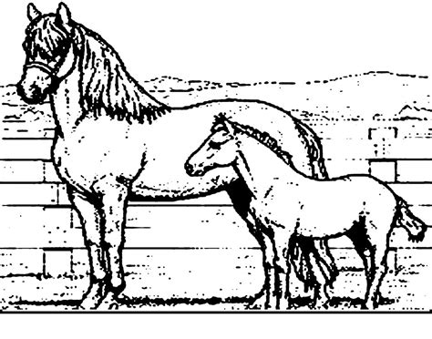 coloring pages  horses animal place