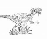 Raptor Jurassic Coloring Pages Dinosaur Getcolorings Color Rapto Print Getdrawings Colorings sketch template