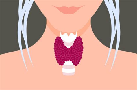 you think it s menopause but could it be your thyroid health
