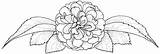 Camellia Flower Coloring Categories sketch template
