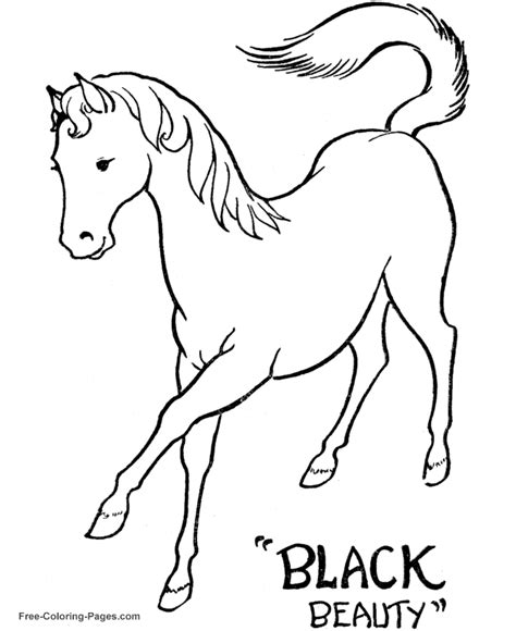 horses coloring book pages  color