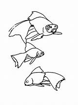 Vissen Dieren Animaatjes sketch template