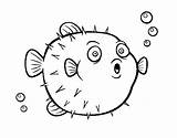 Pufferfish Coloring Coloringcrew Print Sea Book sketch template