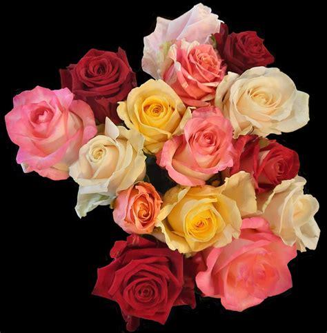boeket gekleurde rozen  stuk termeulen roses