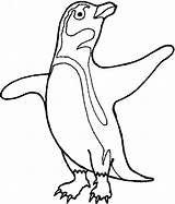 Penguin Coloring Pages Color Cartoon Printable Penguins Clipart Animals African Animal Template Cliparts Print Cute Sheet Antarctic Sheets Templates Google sketch template