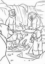 Brother Bear Coloring Pages Kids Color Disney sketch template