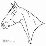 Horse Coloring Quarter Drawing Mare Pages Head Headstudy Color Line Kids Face Heads Index Getdrawings sketch template