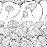 Ginkgo Gingko Biloba Foliage Contour Seamless Inconsútil Esquema Modelo Gimnospermas Estampado Blanco sketch template