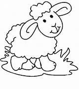 Sheep Coloring Pages Cute Lamb Baby Printable Kids Coloring4free Preschool Color Drawing Clipart Schaf Print Getdrawings Lambs Getcolorings Colouring Schafe sketch template