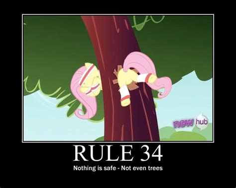 rule 34