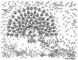 Dot Connect Dots Peacock Pdf Extreme sketch template