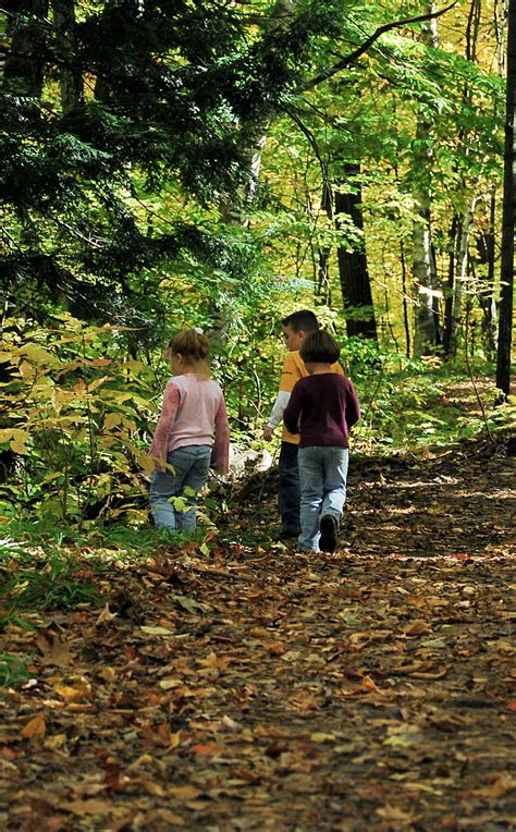 green education  nature  teach  kids kidsgoalscom