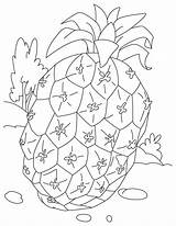 Pineapple Coloring Pages Printable Fruit Kids Toddlers sketch template