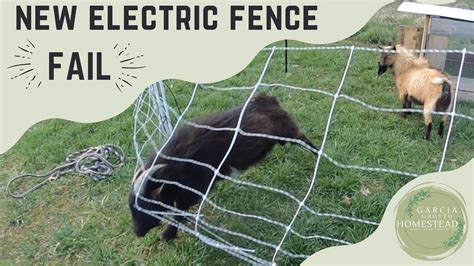 electric fence  goats garcia grotto homestead