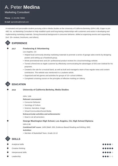 resume template  experience