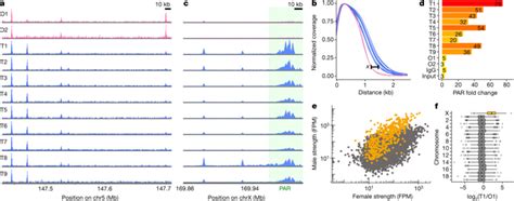 extensive sex differences at the initiation of genetic recombination nature