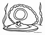 Clam Coloring Pages Clams Colormegood Animals sketch template