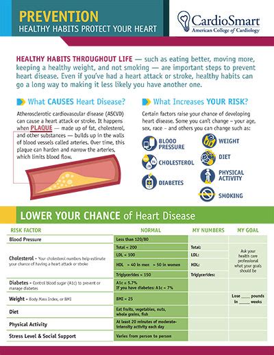 healthy habits protect your heart fact sheet cardiosmart american