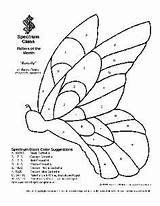 Patterns Stained Glass Butterfly Pattern Woodworking Spectrum Intarsia Printable Wood Plans Projects Inlay Vitrail 2021 Mosaic Vidrio Pages Diseños Para sketch template