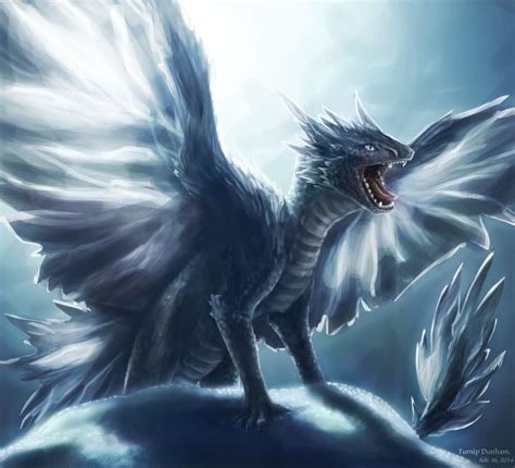 ice dragon dragons photo  fanpop
