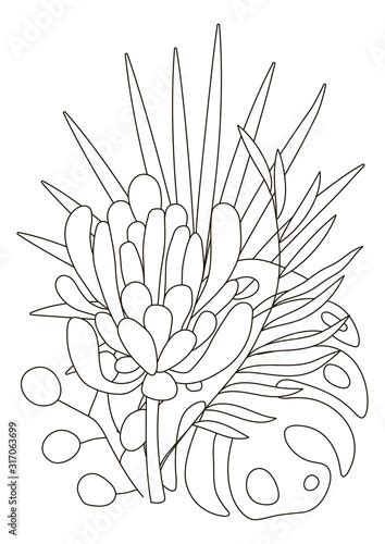 tropical flower coloring pages printable img abhay