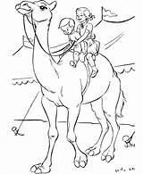 Camel Coloring Pages Kids Printable Circus Animals Animal Sheets Print Clown sketch template