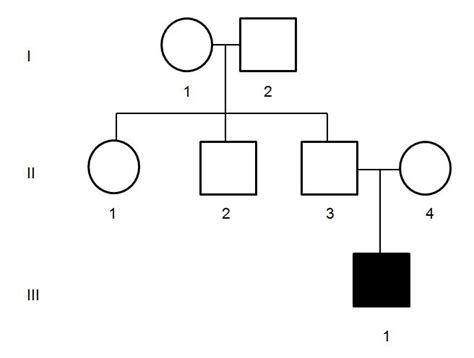 Non Mendelian Inheritance And Genetic Pedigrees Diagram Quizlet