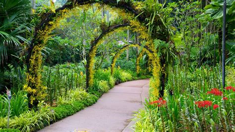 top  hotels closest  singapore botanic gardens  singapore