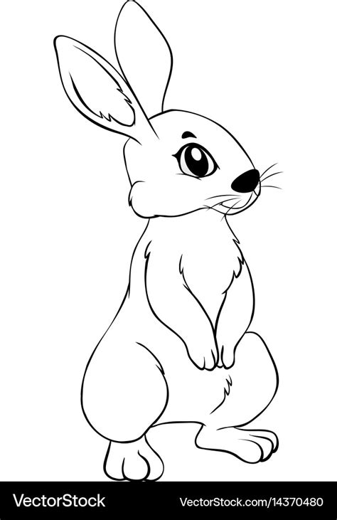 animal outline  rabbit royalty  vector image
