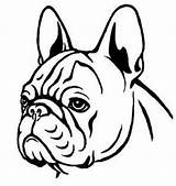 Bulldog French Drawing Outline Coloring Clipart Pages Dog Stencil Face Draw Bulldogs Easy Drawings Frances Frenchie Tattoo Bull Animales Google sketch template