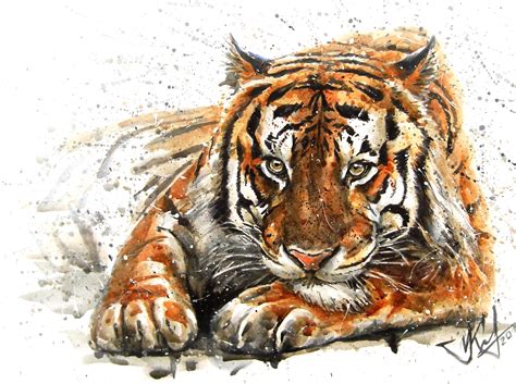 tiger watercolor painting  konstantin kalinin  dribbble